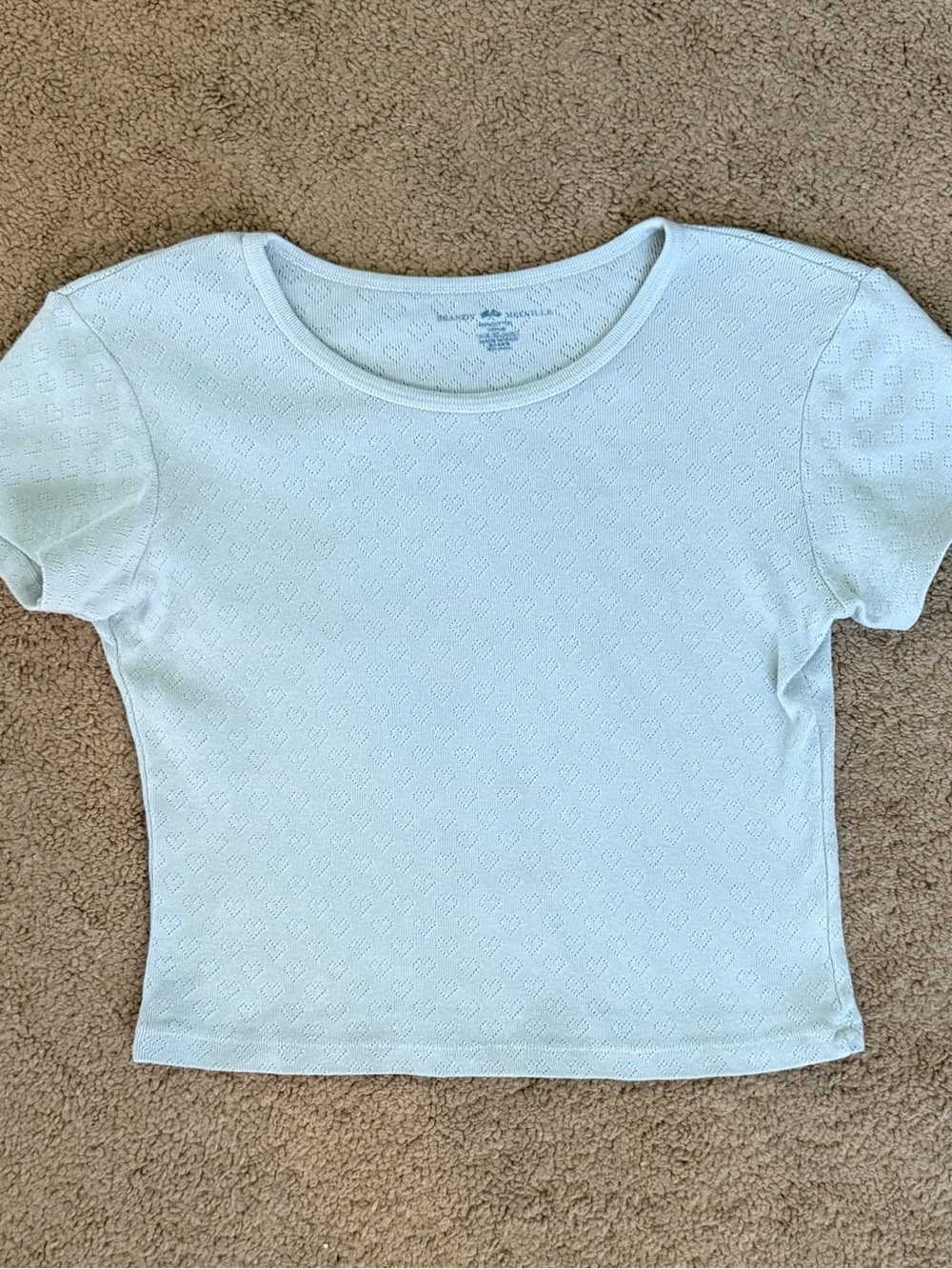 Brandy Melville Pale Blue Heart Pointelle Scoop Neck Crop Top